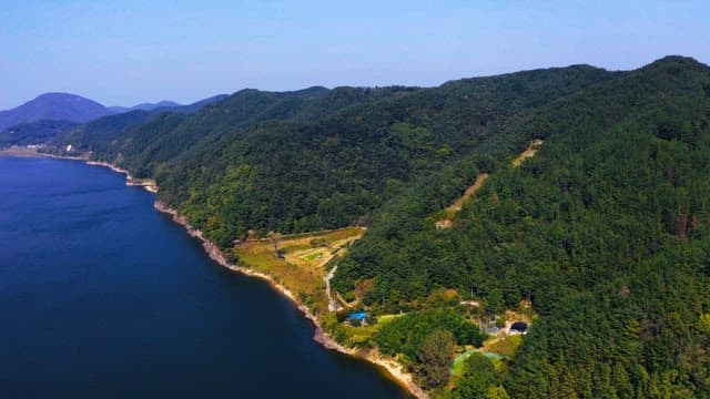 강변의 울창한 숲이 보이는 풍경