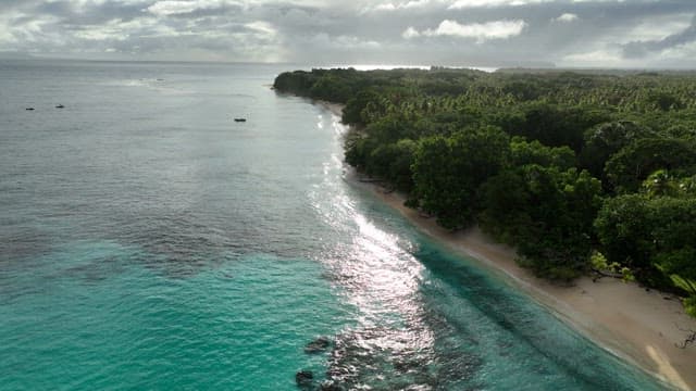 Serene beach with small huts and lush rainforest