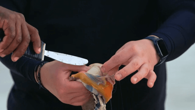 신선한 해산물 요리를 준비하는 손