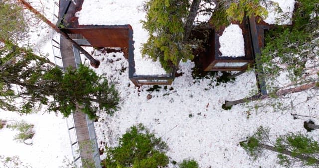 현대식 오두막이 있는 눈 덮인 숲