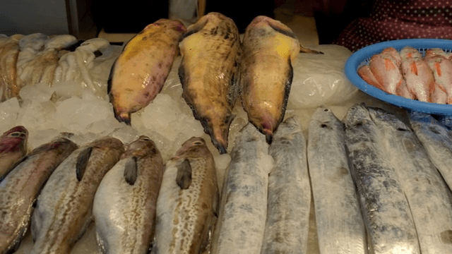 얼음 위에 진열된 다양한 신선한 해산물