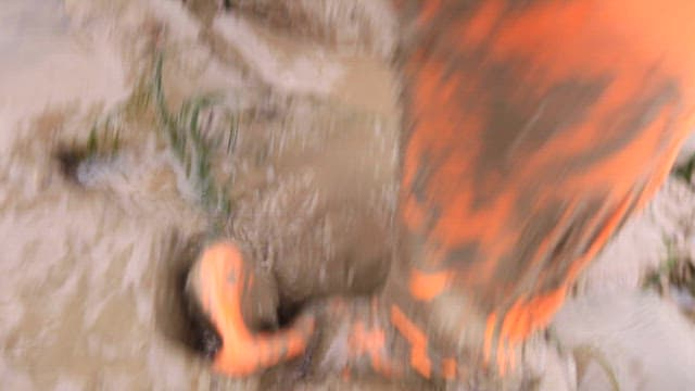 갯벌을 걷는 사람