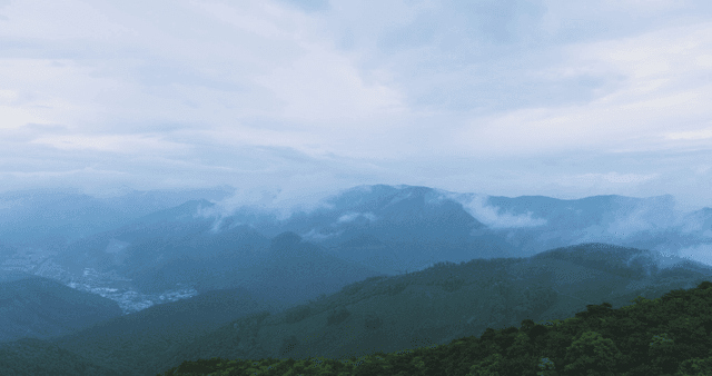 Misty mountains with lush green forests