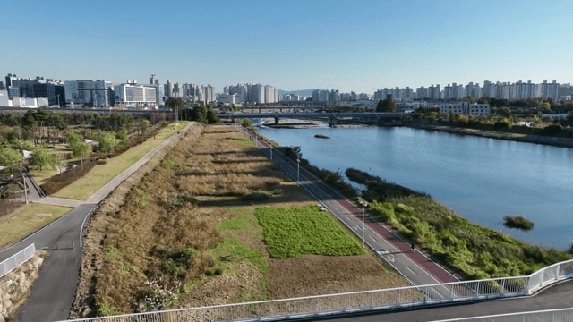 고층 건물이 있는 호숫가 공원