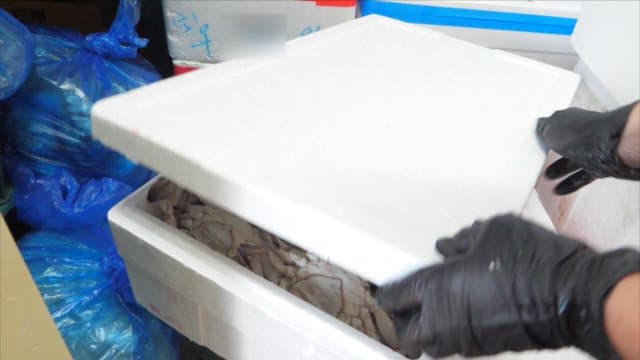 판매용으로 포장된 신선한 게