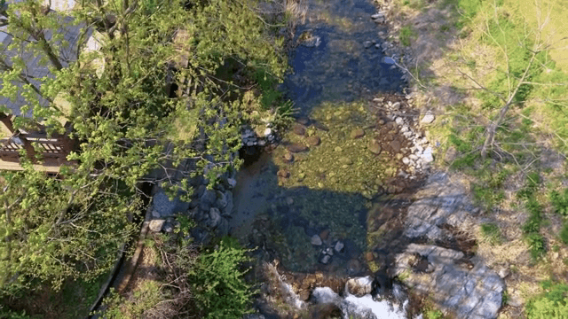 Serene river flowing through lush greenery
