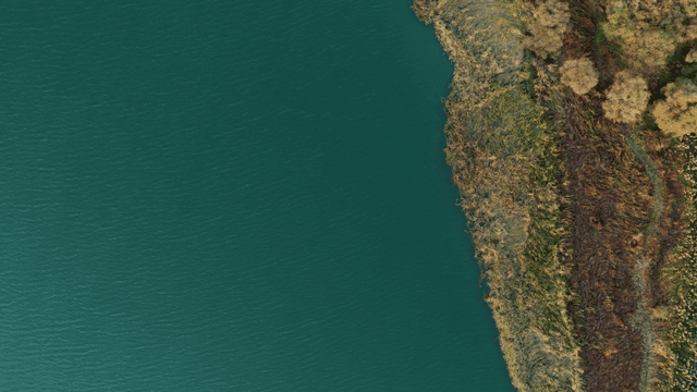 강과 주변 나무의 항공 뷰