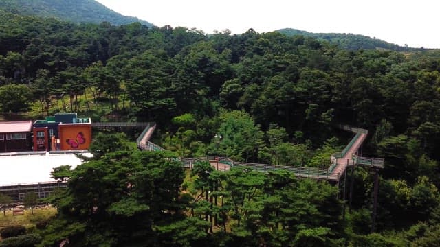 building and a winding bridge with a picture of a butterfly in the forest