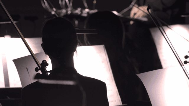 Orchestra musicians reading sheet music