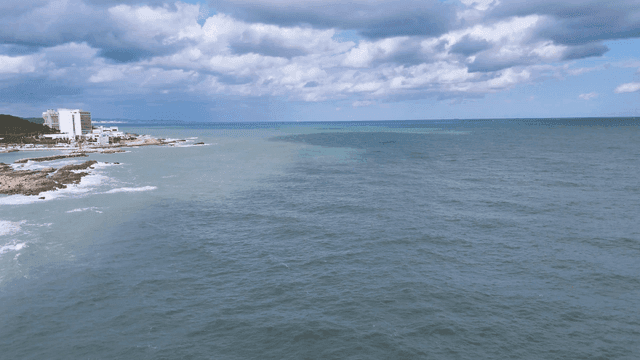 바다 파도와 해안 사찰