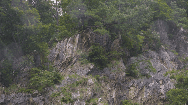 Rain falling on rocky cliff covered with green trees