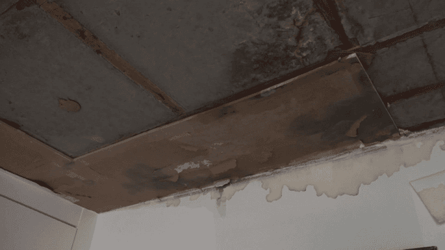 곰팡이가 핀 축축하게 손상된 천장