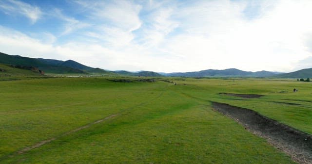 Vast green landscape with distant mountains