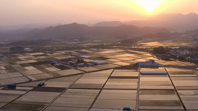 넓은 논과 마을 위로 지는 해