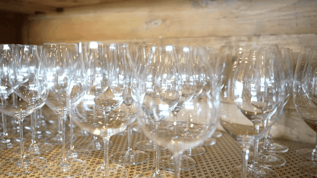 Wine glasses neatly arranged on a shelf