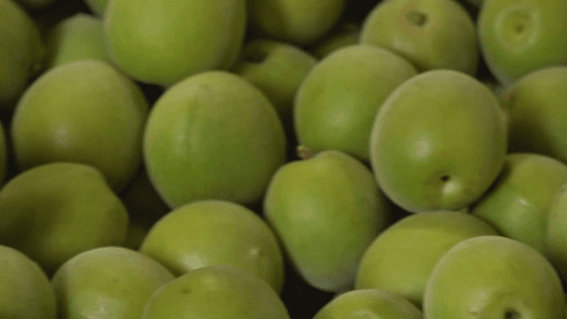 Close-up of fresh green plums