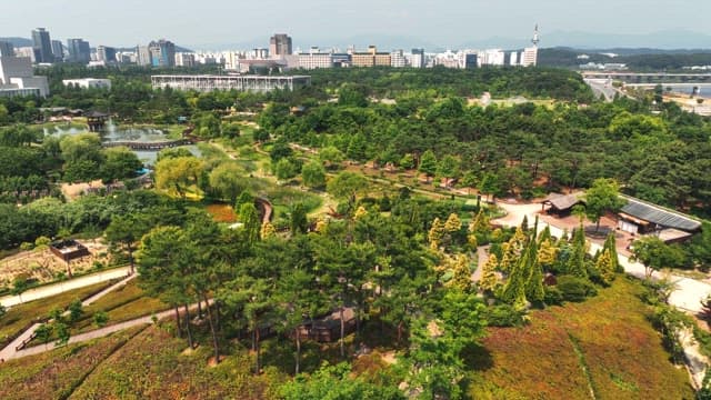 멀게 보이는 도시를 배경으로 한 푸른 공원