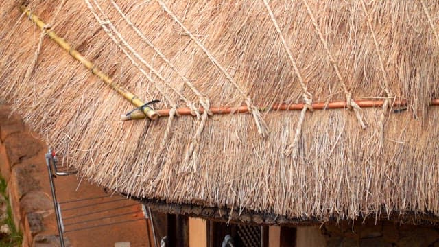 Detailed traditional thatched roof of rural house