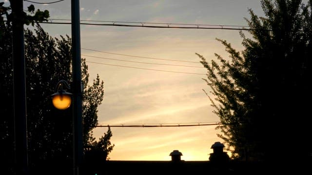 Street lamp and trees at sunset