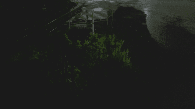 밤 거리 나무를 비추는 거대한 빗웅덩이