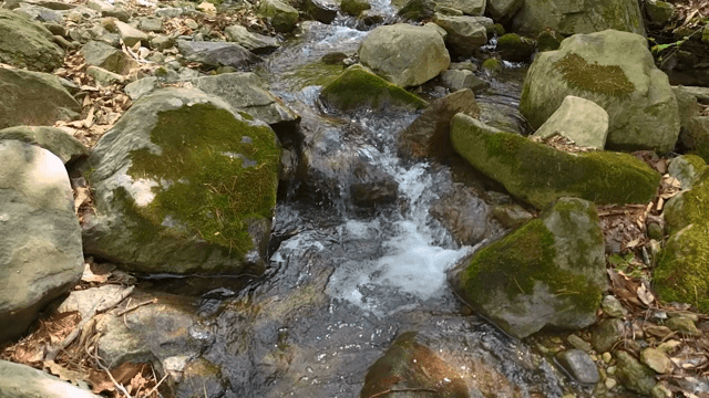 Serene stream flowing over mossy rocks
