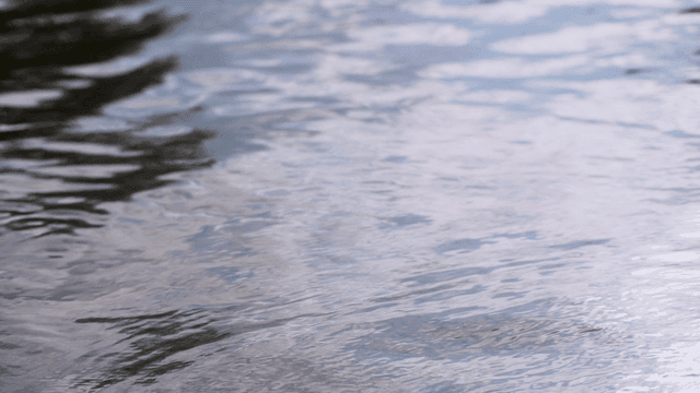 Rippling water surface in a calm setting