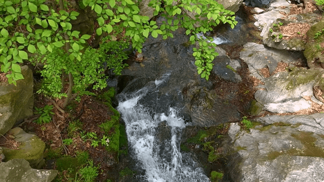 푸른 숲 속의 작은 폭포
