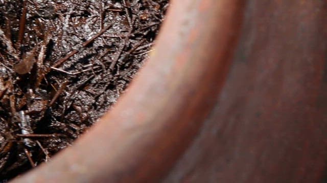 전통 장독에 담긴 발효 간장