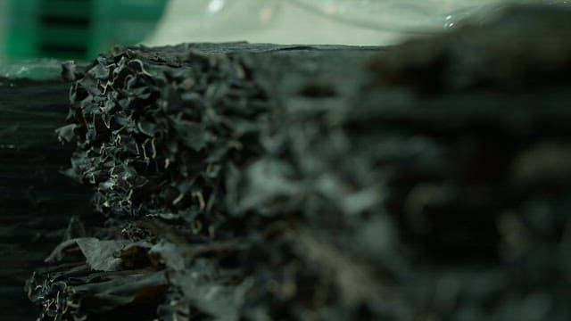 Stacks of dried kelp in a factory