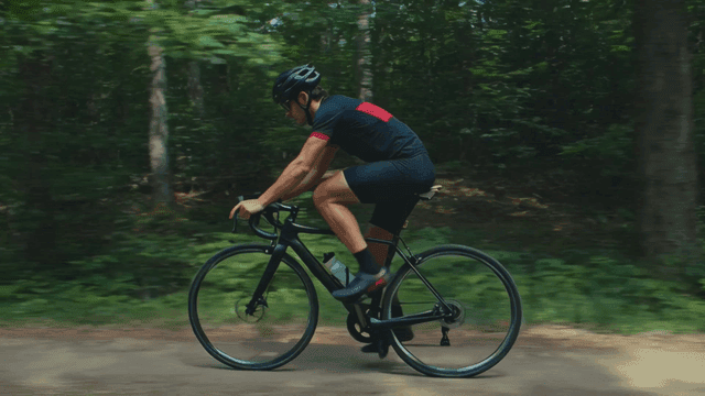 Cyclist riding through a forest trail