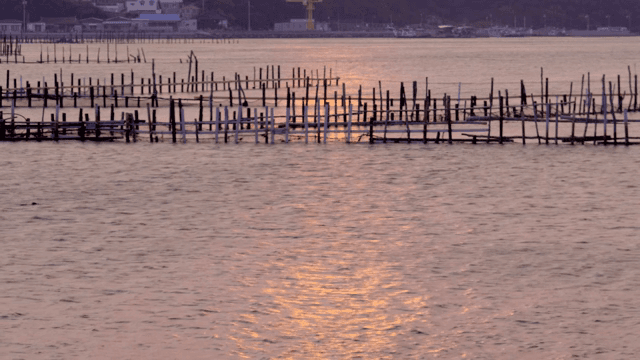 Sunset reflecting on a calm sea with fish farm