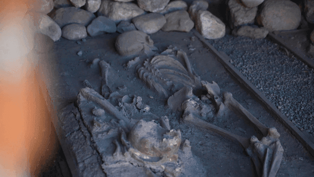 Ancient skeleton remains in a stone tomb