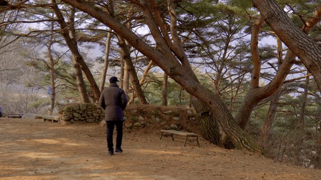 고요한 숲속을 걷는 사람