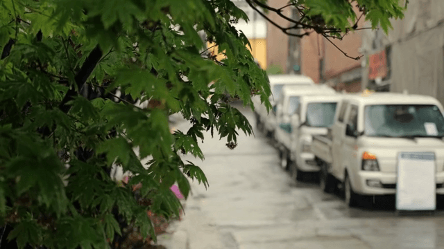 비 오는 거리와 주차된 차들