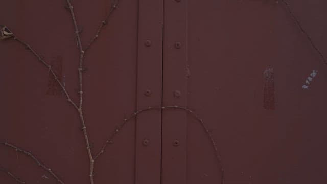 넝쿨이 감아 올라가는 빨간 문의 벽돌 건물