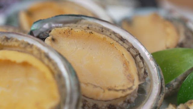 Freshly prepared abalone on a plate indoors