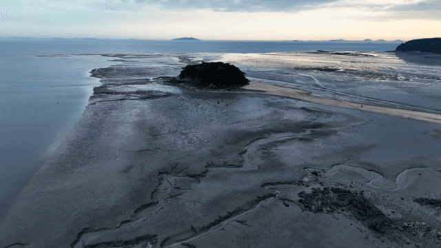 섬과 갯벌의 항공 뷰