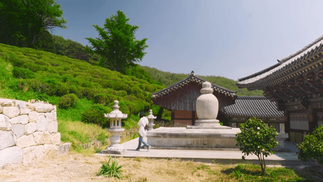 Traditional Korean temple in lush greenery
