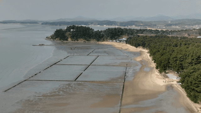 Quiet coastal areas and mudflats