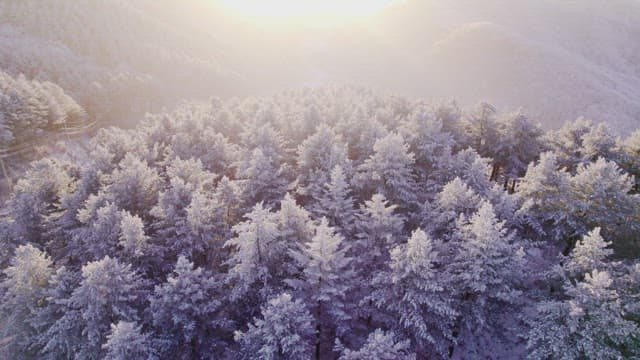 눈이 하얗게 뒤덮인 산 너머로 떠오르는 해