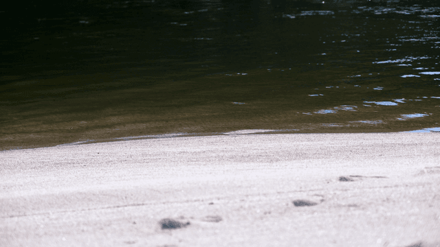 고요한 강가의 모래사장
