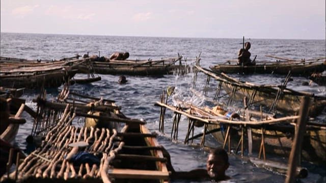 Traditional Fishing Techniques at Sea