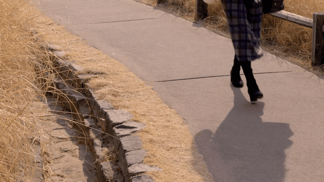 오후 시간대에 길 위를 걷는 여성