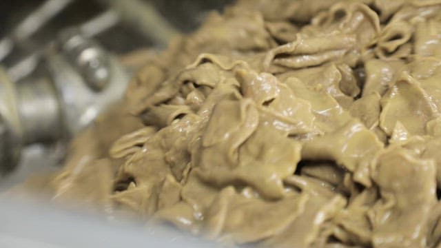 산업용 기계에서 혼합되고 있는 신선한 밀가루 반죽