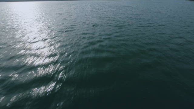 Surface of a Lake Gently Illuminated by the Midday Sun