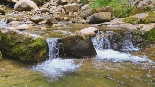 Small stream flowing over rocks