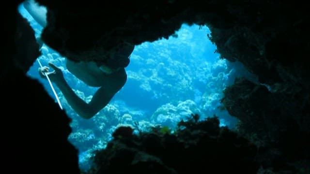 바닷속에서 작살을 이용해 물고기를 잡는 사람