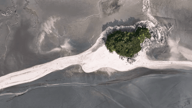 Aerial view of a small island with green trees