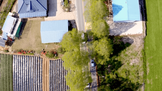 Aerial view of farmland and rural road