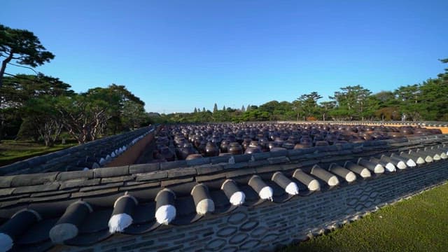 마당에 늘어선 전통 한국 항아리